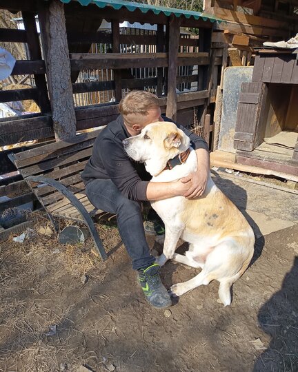 Burger pro Hand for Help